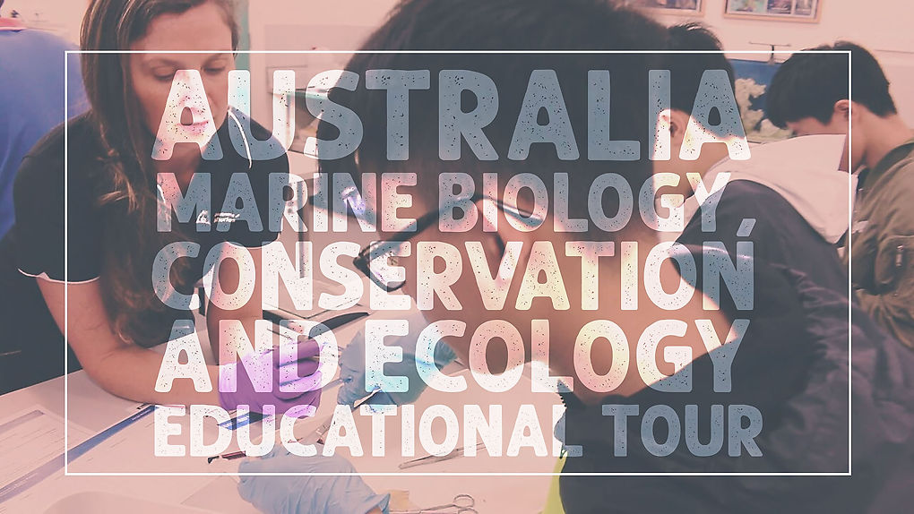 Australia | Marine Biology, Conservation and Ecology Tour